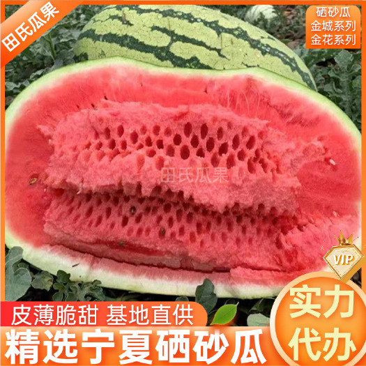 中宁县西瓜宁夏中卫硒砂瓜金城5号金花西瓜产地直发电商团购超市市场全