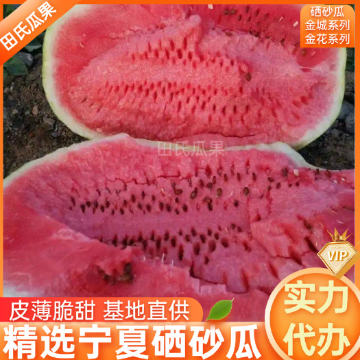 中宁县宁夏中卫硒砂瓜石头哥红壤皮薄脆甜多汁视频看货电商超市社区团购
