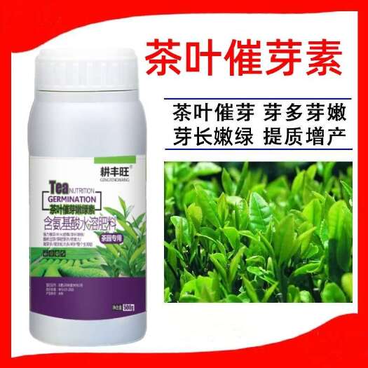 郑州茶叶叶面肥茶叶催芽剂920催芽茶园促长剂生长素茶叶先锋茶树催