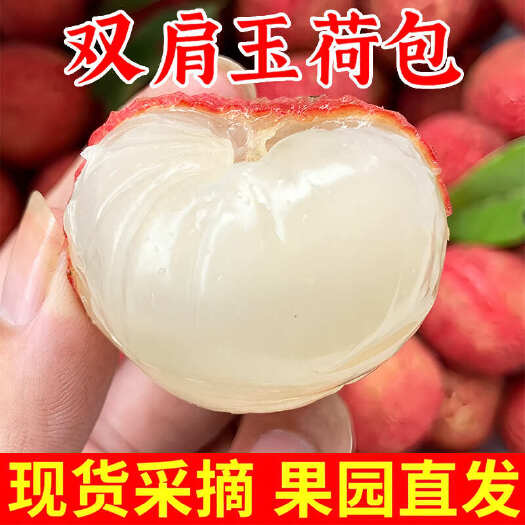 漳浦县【送货上门】荔枝新鲜现摘双肩玉荷包黑叶荔枝非妃子笑白糖罂桂味