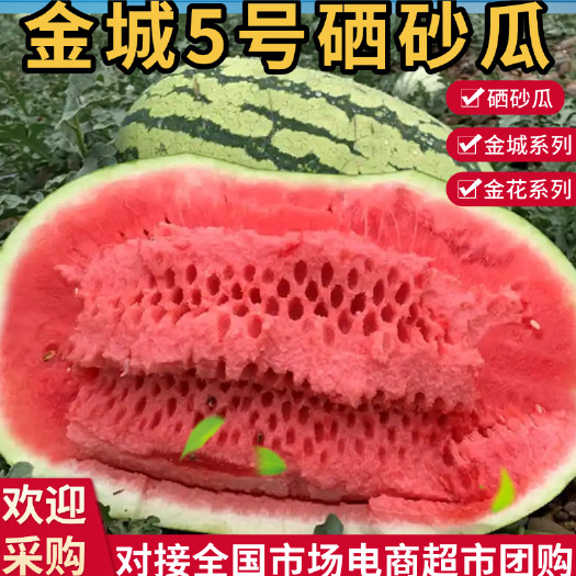 金城5号西瓜精选硒砂瓜宁夏正宗石头缝里的石头瓜产地直发电商1