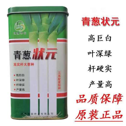 建瓯市青葱状元大葱种子山东章丘大葱种子铁杆抗病抗倒伏高实杆