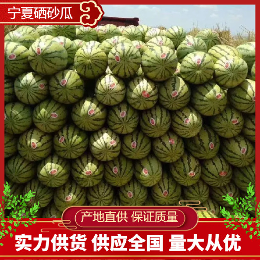 中卫宁夏硒砂瓜 大量有货 全国发货 可视频看货