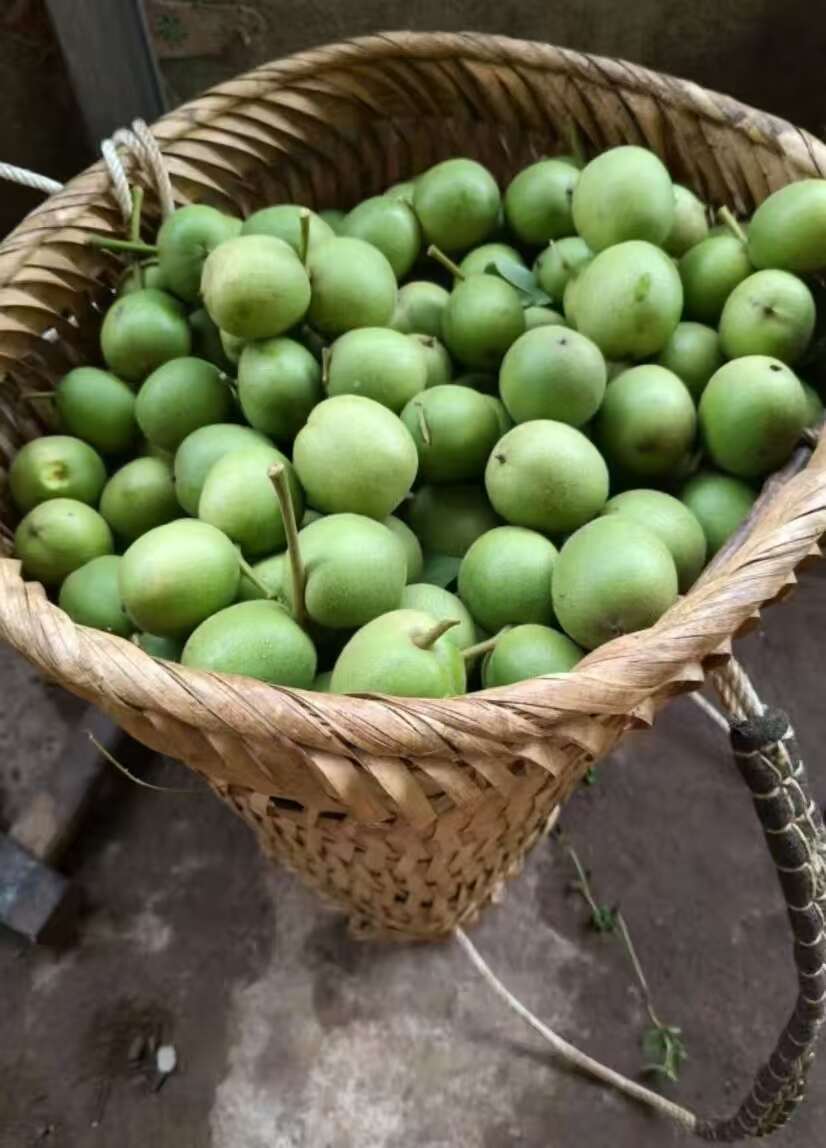 青皮核桃产地货源对接各大市场