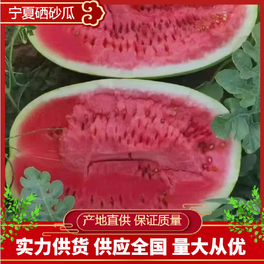 中卫【实力供货】宁夏硒砂瓜 石头瓜 货量充足 大吨位供应