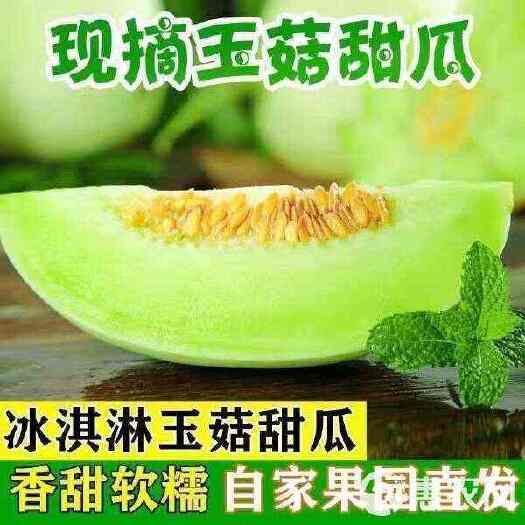 莘县山东玉菇冰淇淋甜瓜软糯香甜一件代发批发商超电商社区团购视频看