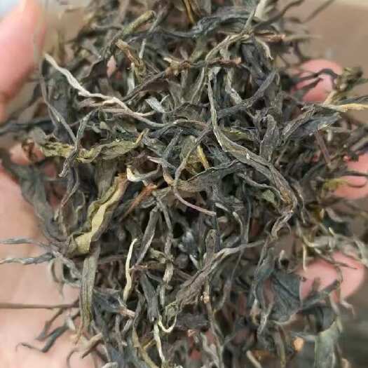 景谷县古树茶，普洱生茶毛料1.5吨可加工饼茶砖茶，龙珠，小方片茶等