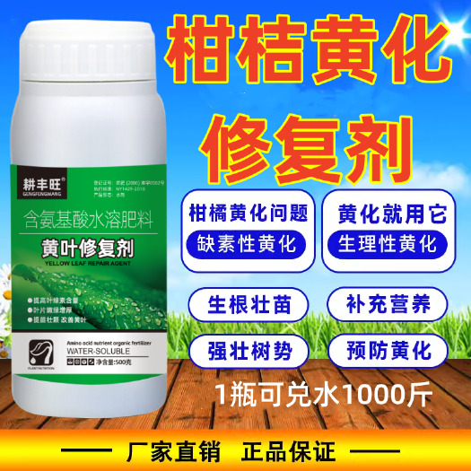 郑州柑橘黄化修复剂果树柑桔黄叶病黄化病专用黄叶转绿花叶柑橘叶面肥