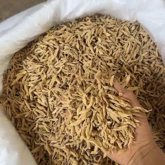 昆明麦冬 好品质