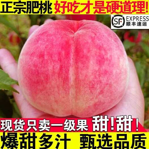 顺丰山东正宗泰安水蜜桃肥城桃新鲜桃子水果玉妃应季肥桃