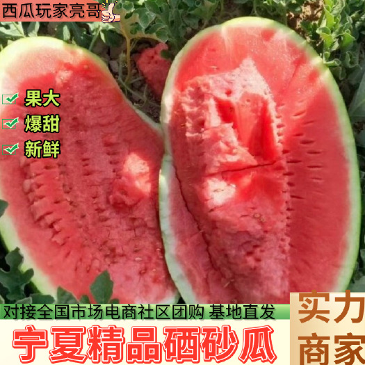 中卫【实力商家】精选宁夏硒砂瓜石头瓜西瓜产地直发一手货源团购市场