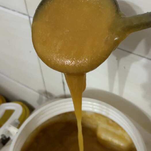 谷城县出售中华蜂蜂蜜