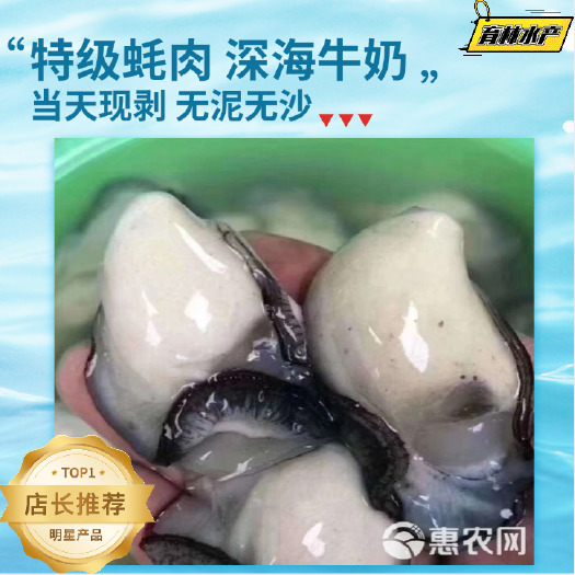 饶平县牡蛎  生蚝肉1斤10块1百斤起不包邮费