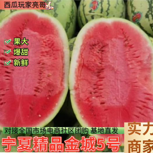 中宁县【精选】宁夏金城5号西瓜硒砂瓜产地直供全国发货对接电商市场团