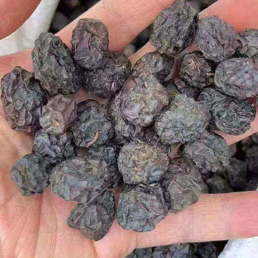 长沙彝山香常年供应西西果滇刺枣毛叶枣缅枣南枣或印度枣干货干品