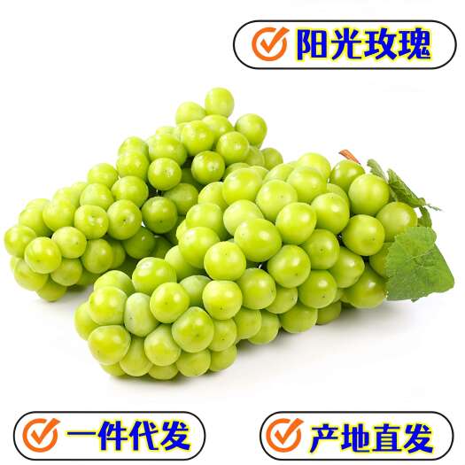 大荔县一件代发现货阳光玫瑰青提子晴王葡萄整串新鲜采摘供电商