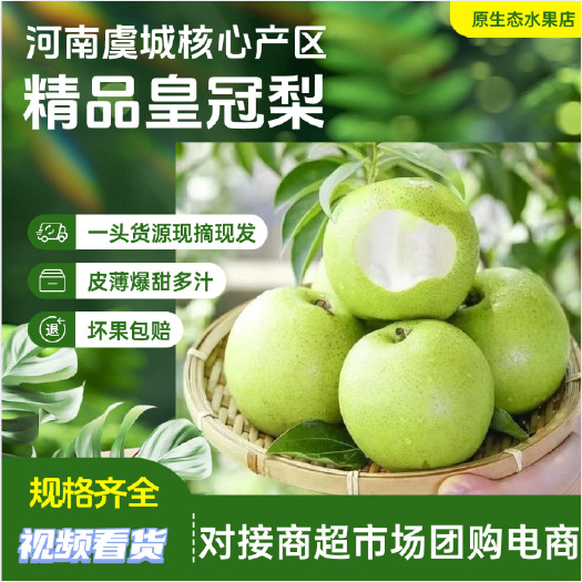 虞城县精品皇冠梨河南产区一手货源口感纯甜皮薄多汁水分足价格便宜