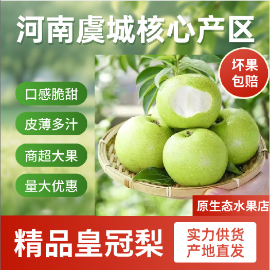 精品皇冠梨翠冠梨酥翠一号实力供货口感脆甜皮薄多汁水分足价格优