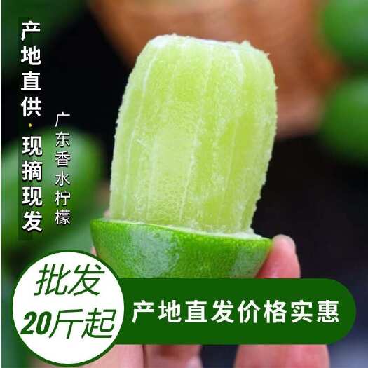 广州正宗广东香水柠檬鲜果青柠檬新鲜水果店批发