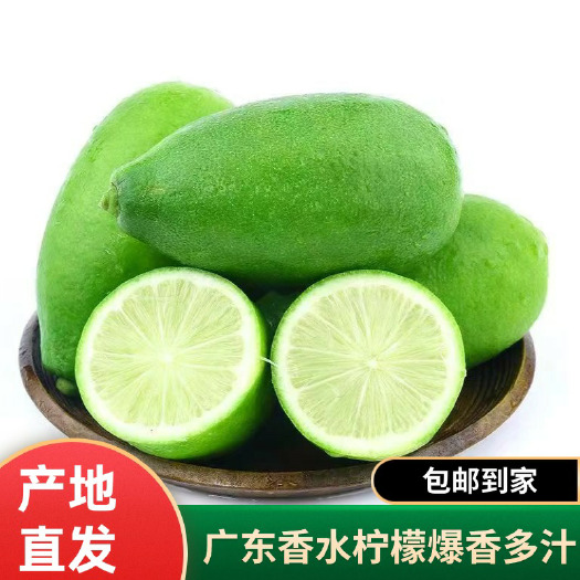 广州果园直发正宗广东香水柠檬新鲜青皮
