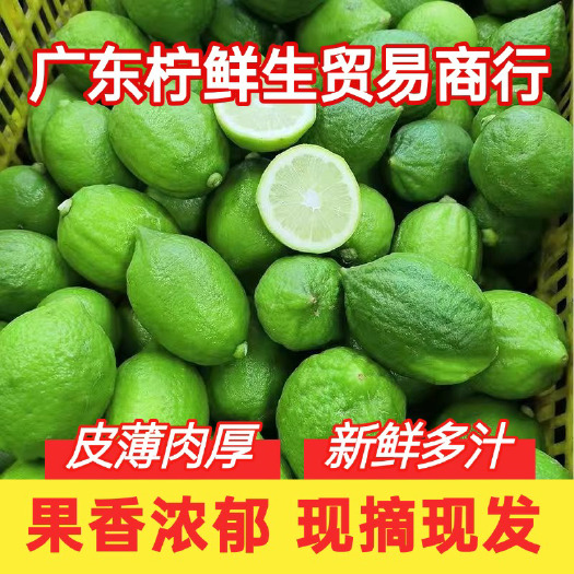 广州优惠商用广东香水柠檬无籽鸭屎香柠檬