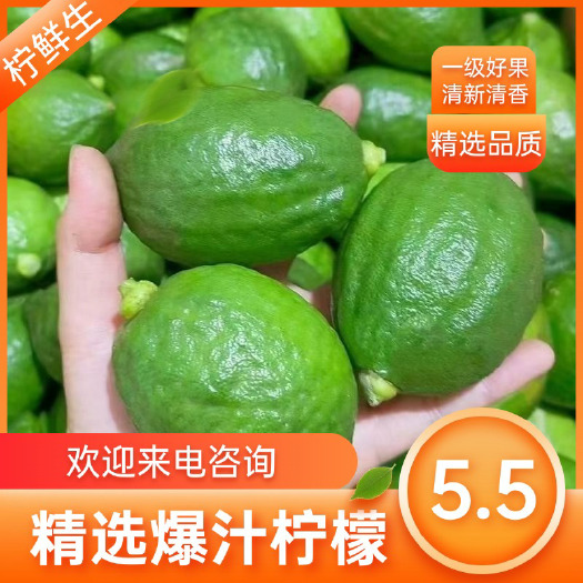 广州广东香水柠檬新鲜皮薄无籽