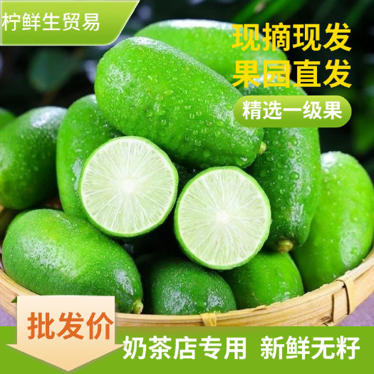 广州广东增城无籽香水柠檬果园直供