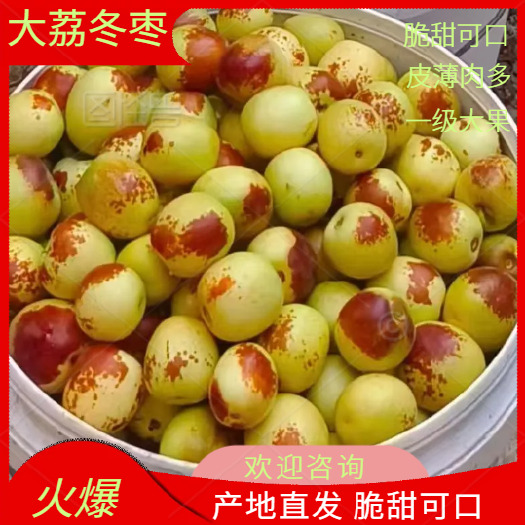 大荔县陕西大荔冬枣，脆甜多汁，原产地直发