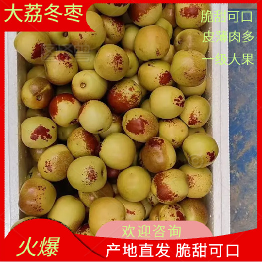 大荔县鲜枣冬枣产地直供，快递货支持代发，坏损包赔