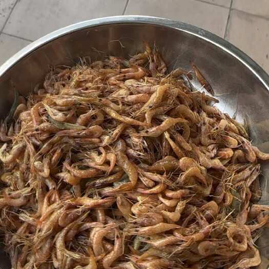 广州小河虾8元一斤，广州现货