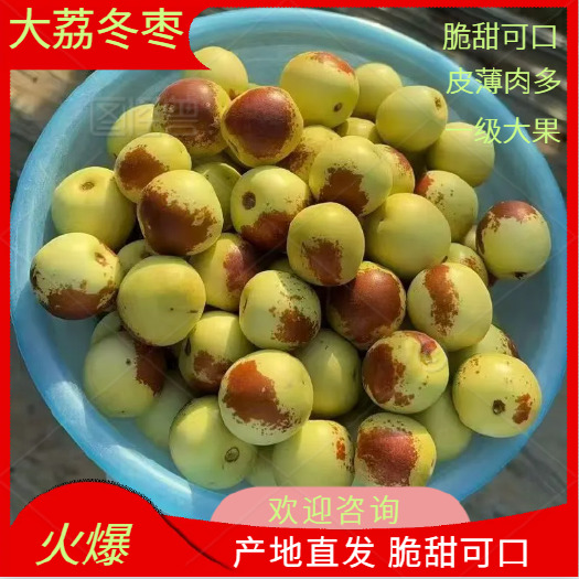 大荔县大荔鲜枣冬枣核果仁果类水果直供
