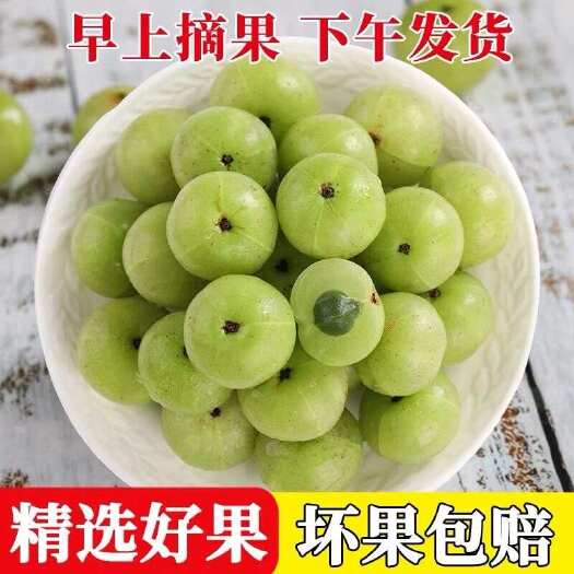 普宁市新鲜油甘果余甘果牛甘子当季现摘油柑滇橄榄孕妇酸甜水果批发