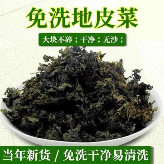 舞钢市地皮菜野生免洗河南干货地软天然地衣菜非免洗雷公菌蒸包子商用