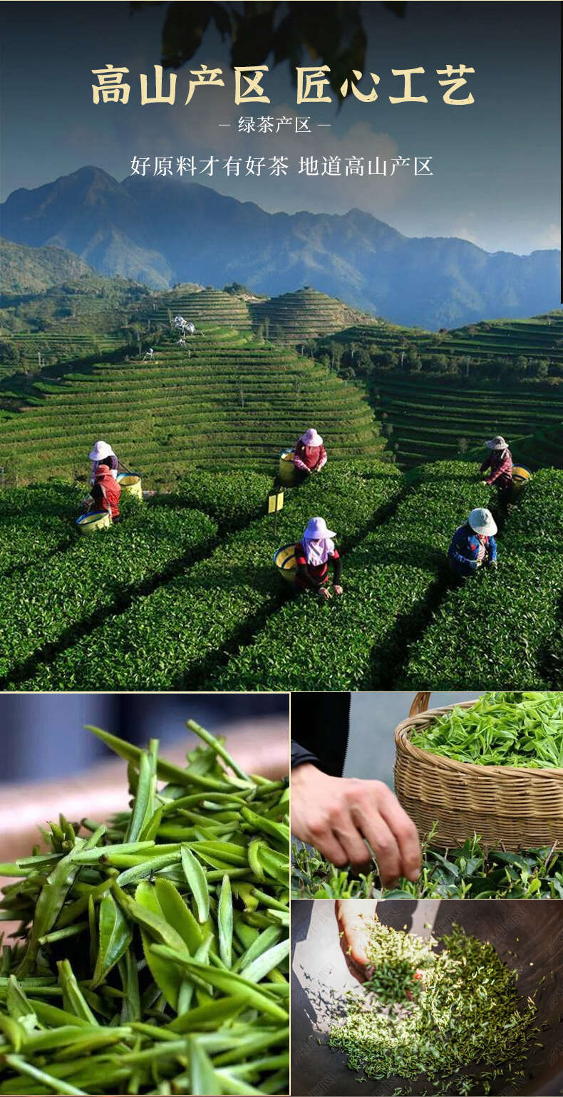 新茶明前碧螺春散装茶叶绿茶碧螺春香茶125克罐装散茶批发