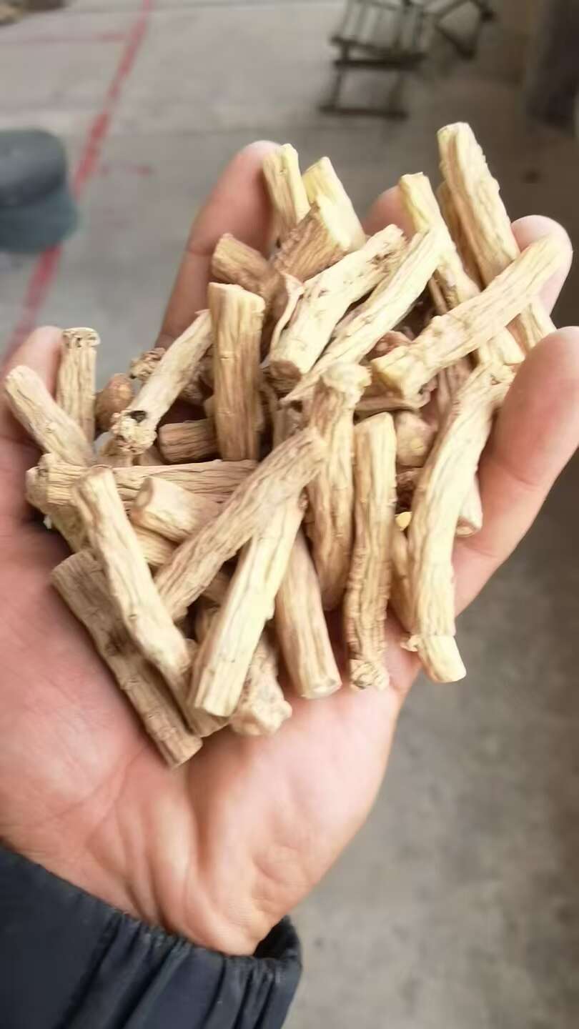 【包邮】岷县产地直发，白条党参段，量大可谈，品质保障