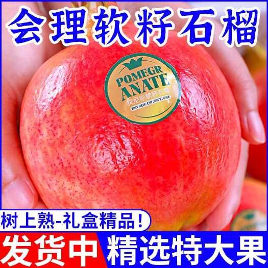 会理市产地四川会理突尼斯软籽石榴新鲜现摘水果甜石榴整箱礼盒批发
