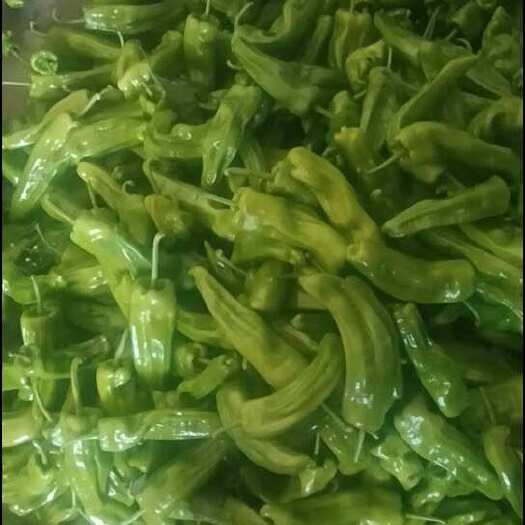 重庆市重庆江津二荆条辣椒 新鲜蔬菜 茄果菜类