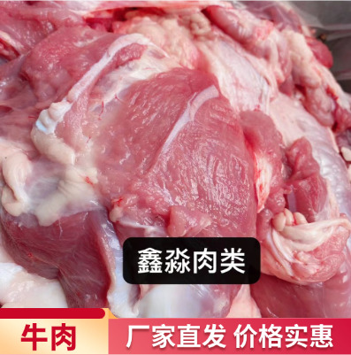 阳信县牛肉类  厂家直销乳牛肉，一手货源，欢迎选购。