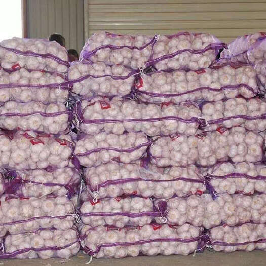 金乡县山东紫皮大蒜，一手货源，规格齐全，量大从优
