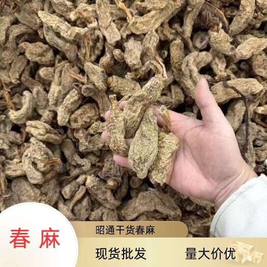 昆明云南特产昭通天麻500g春麻散装现货专业批发乌春麻量大价优