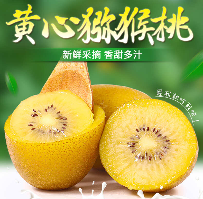 现货一件代发四川蒲江黄心猕猴桃奇异果当季时令水果供电商