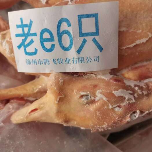 义县大帮老公鹅去油肺6只
