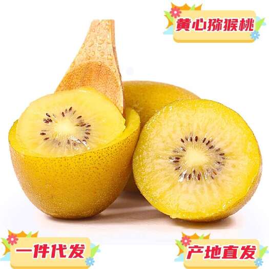 现货一件代发四川蒲江黄心猕猴桃奇异果当季时令水果供电商