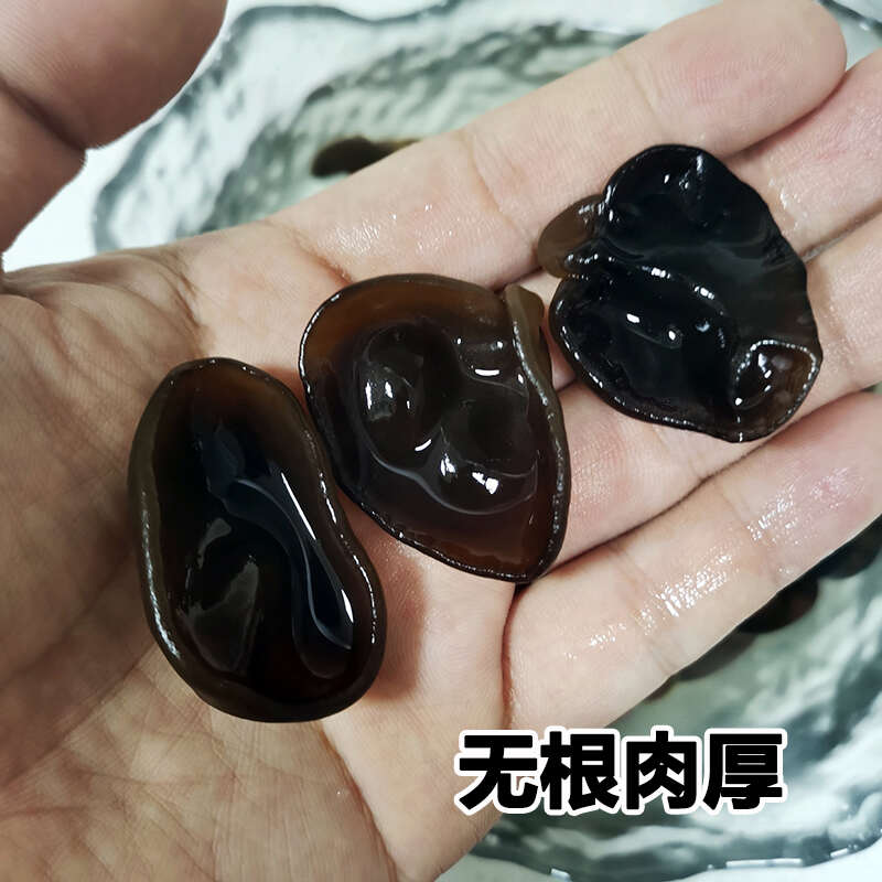 东北长白山小碗耳干货精品黑木耳椴木头茬秋耳肉厚无根500g盒