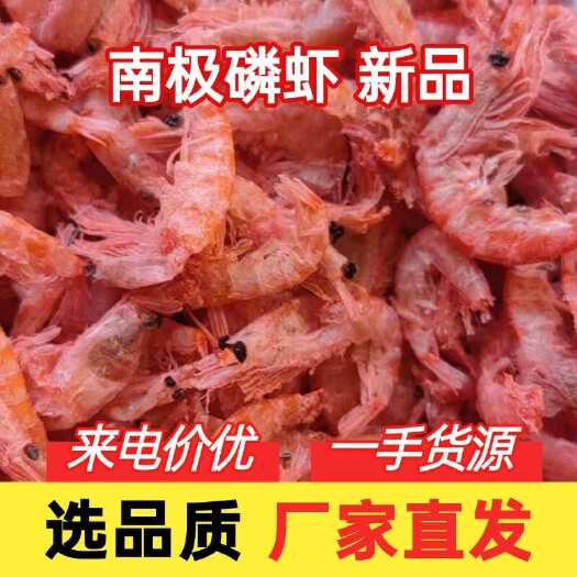 滨州没有比这价低物美的，南极磷虾，厂家推荐