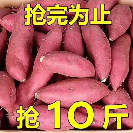 金乡县正宗现挖蜜薯沙地新鲜板栗薯黄心红薯地瓜批发价番薯糖心红芋香甜