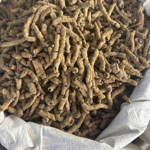 玉林深山巴戟天中药材500g  煲汤泡酒料 特级正品即食盐制巴戟
