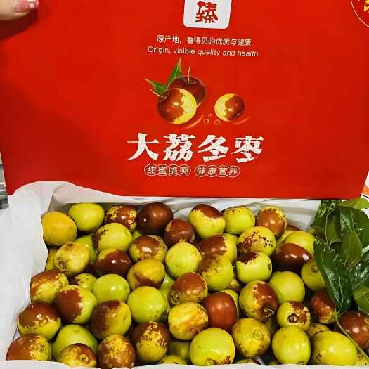 中秋礼盒大荔冬枣礼盒装5斤大果可选顺丰