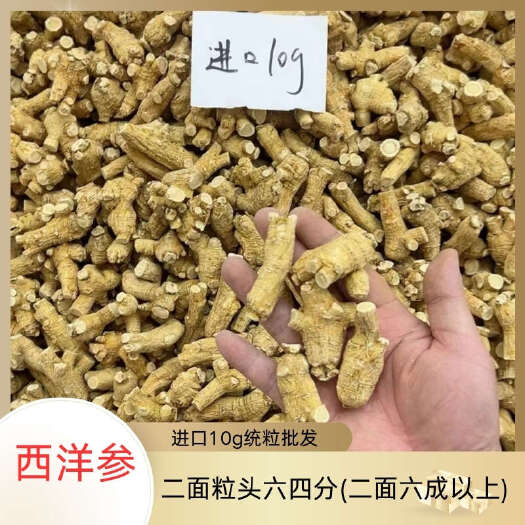 昆明正宗加拿大500g西洋参10g粒头散装散装现货批发量大价