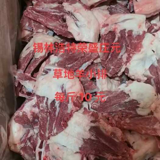 锡盟本地羊小排
